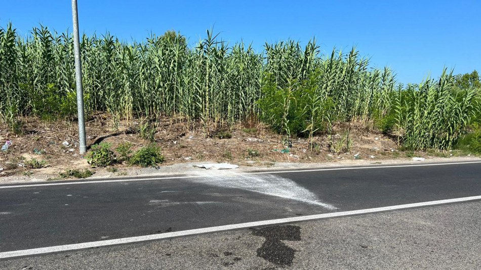 Auto si ribalta e muore bimba, denunciata la mamma