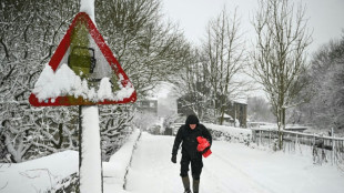 Les fortes chutes de neige en Europe du nord perturbent le trafic aérien