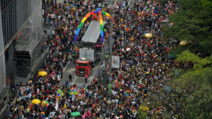 Sao Paulo's LGBTQ parade calls for Brazilians to 'vote with pride'