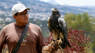 Narcozoológicos, la moda del poder de la cocaína en Ecuador