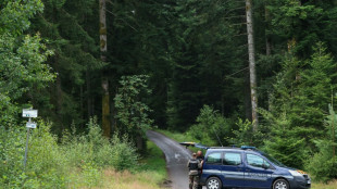 Lina: fin des recherches dans les Vosges, aucun "élément particulier" découvert