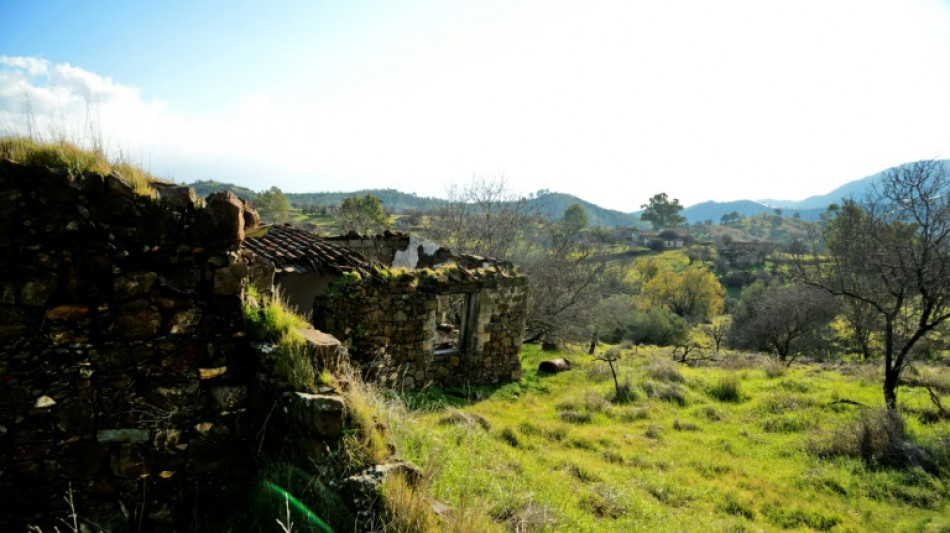 Wildlife rebounds in divided Cyprus 'dead zone'