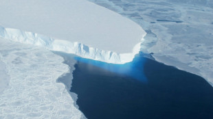 Des scientifiques s'alarment de l'"inévitable" fonte accélérée de la calotte glaciaire de l'Antarctique occidental