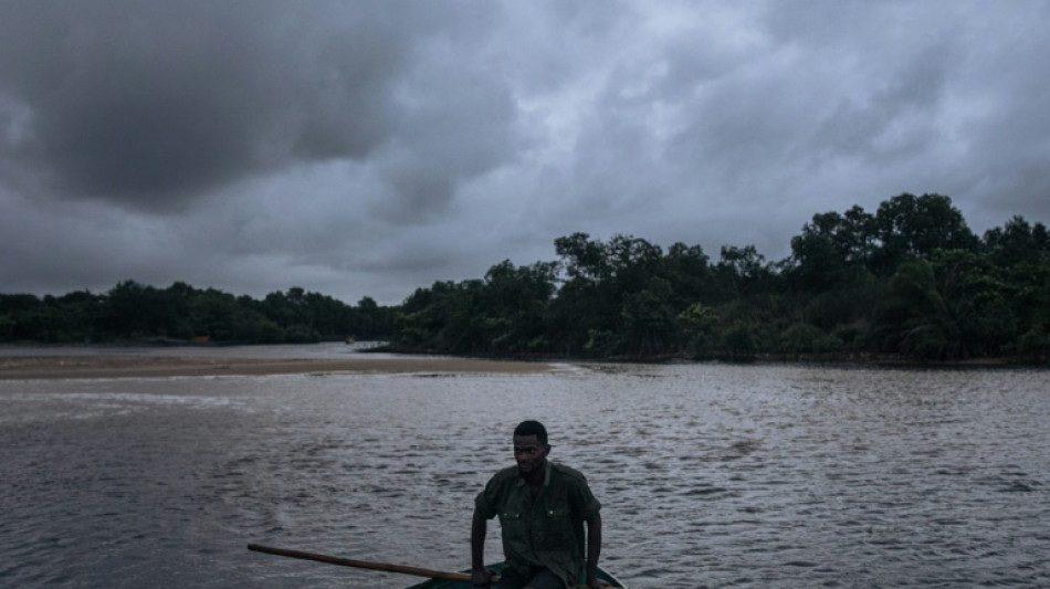 La deforestación reduce las precipitaciones en zonas tropicales
