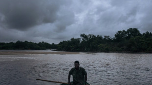 La deforestación reduce las precipitaciones en zonas tropicales
