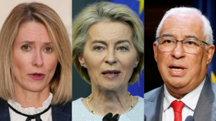 EU-Länder nominieren von der Leyen - Kommissionschefin braucht Parlamentsmehrheit