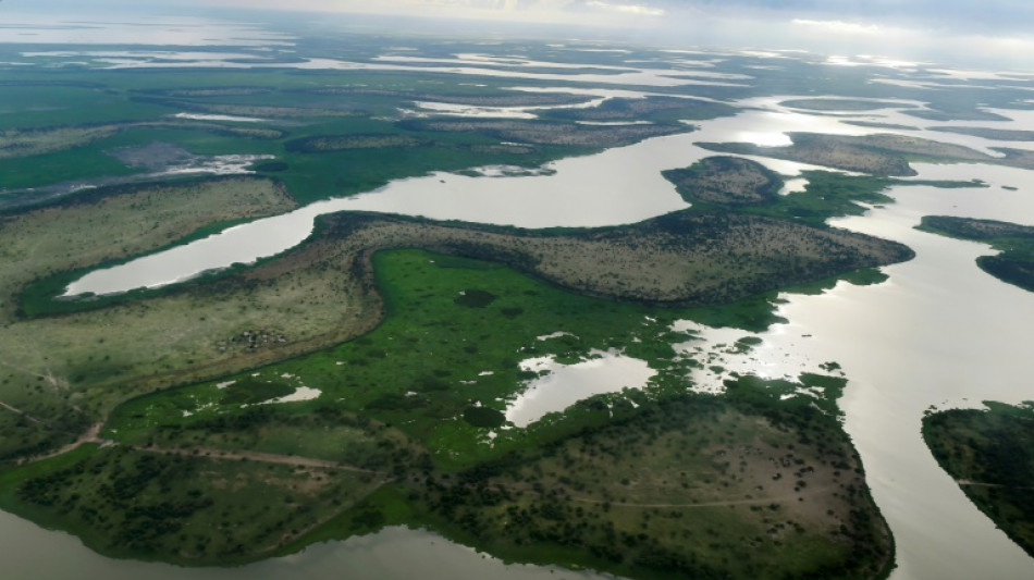 Lake Chad force says has killed 30 'terrorists'