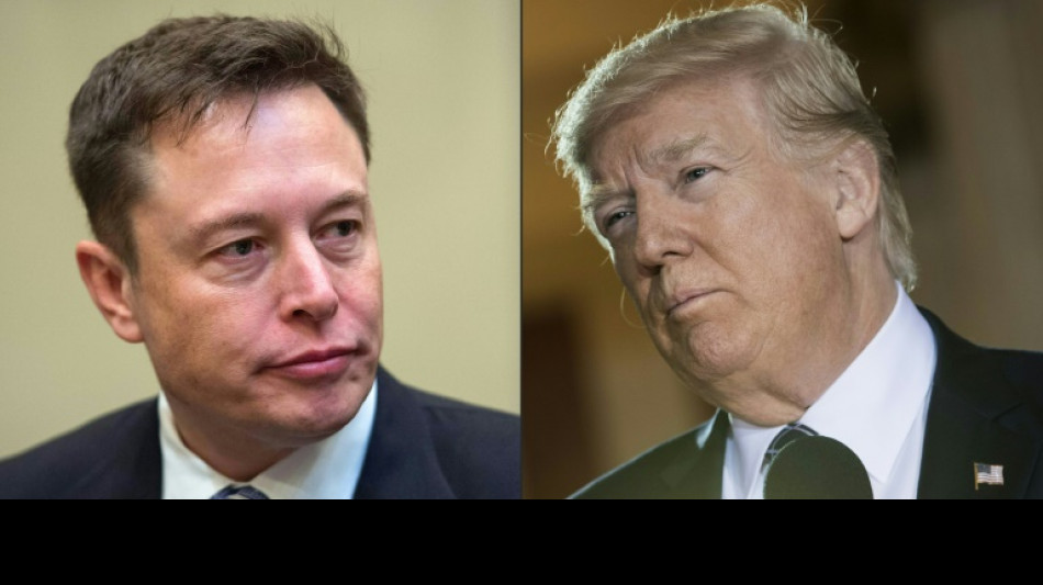 Musk will am Montagabend Live-Interview mit Trump führen