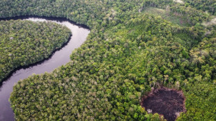 El responsable del organismo de control de objetivos climáticos empresariales dimite tras una polémica