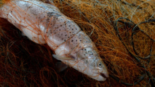 EU-Minister verhandeln über Fischereiquoten in der Ostsee