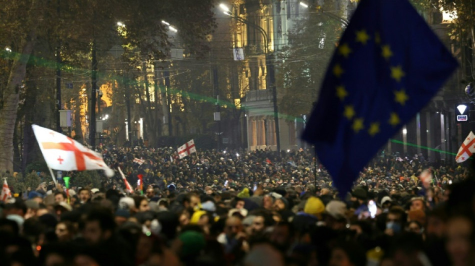 Pour l'opposition en Géorgie, la manifestation comme remède à la mélancolie