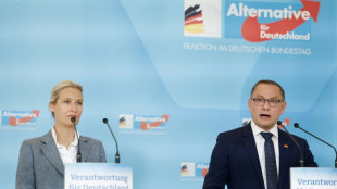 Spionagevorwurf gegen Mitarbeiter: AfD-Spitze kündigt Gespräch mit Krah an