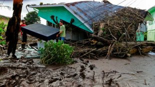 At least 36 dead in Brazil cyclone, many still stranded