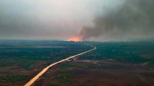 Chuvas apagam incêndios no Pantanal