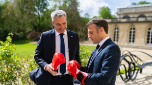 Des gants de boxe, cadeau du chancelier autrichien à Macron