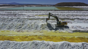 Chile espera desarrollar en dos años hasta cinco nuevos proyectos de litio