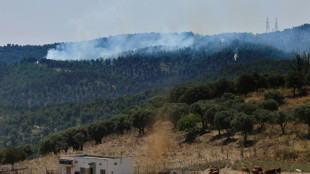 Buschbrände nach gegenseitigen Angriffen in Israel und im Libanon