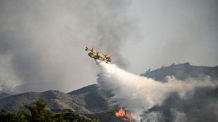 Cuenca del mediterráneo, escenario de violentos incendios a veces mortales