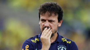 CBF demite Fernando Diniz do cargo de técnico da seleção brasileira