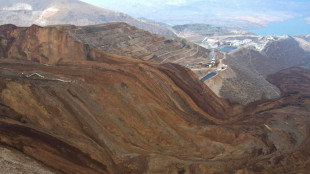 Turkey under pressure to shut down gold mine after landslide