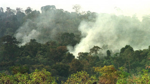 Brasile, a San Paolo ancora 48 comuni in massima allerta incendi