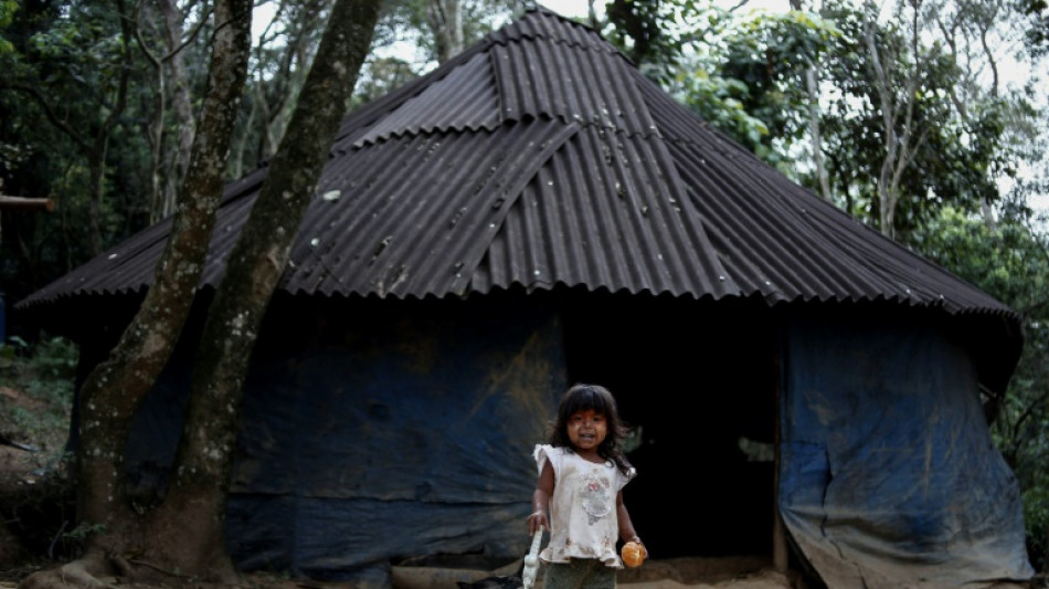 Indigenous land rights help protect Brazil's forests