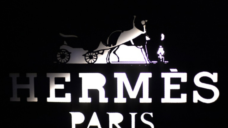 El grupo de lujo Hermès registra un año récord en 2022