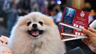 Paws and popcorn: Thai cinema goes pet-friendly