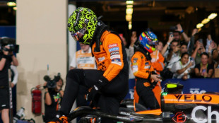 F1: Lando Norris (McLaren) décroche la pole position du GP d'Abou Dhabi