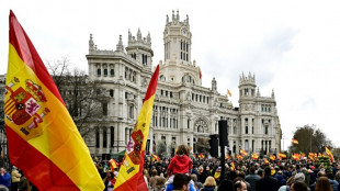 Espagne: des milliers de manifestants contre la vie chère à l'appel de l'extrême droite