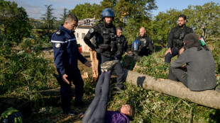 A69: les "écureuils" décrochés un par un sur le dernier bastion d'opposants