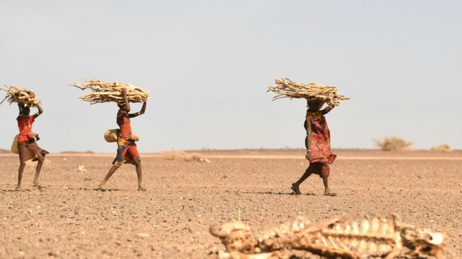 Millions hungry but drought overlooked as Kenya prepares to vote