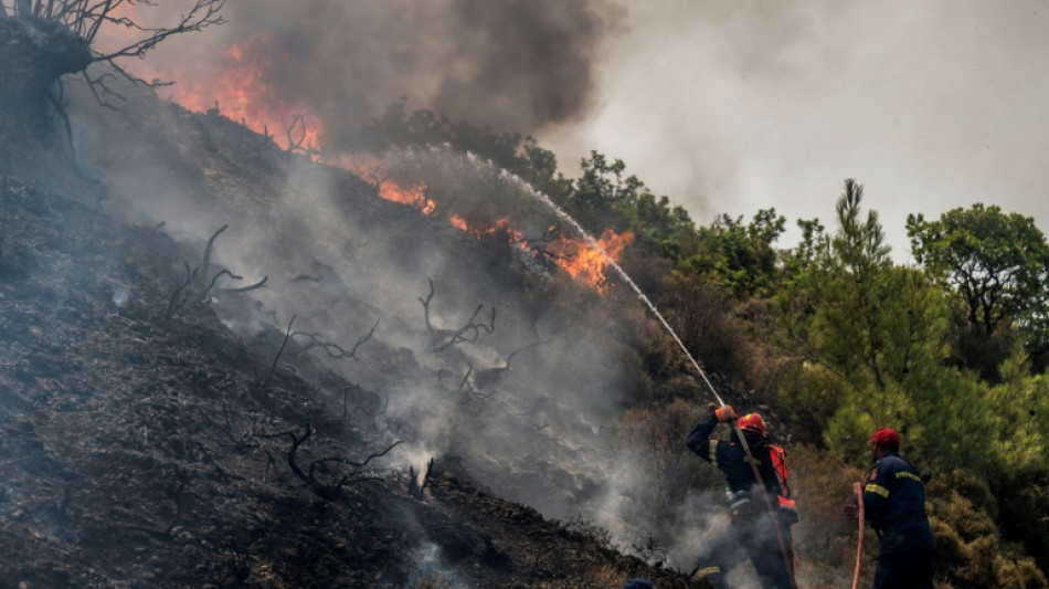 Países da bacia do Mediterrâneo combatem incêndios e o calor