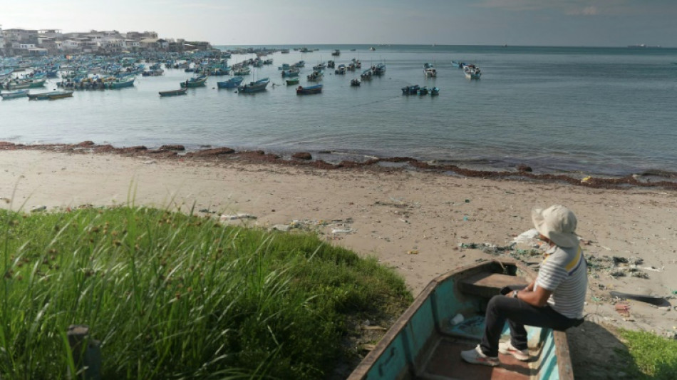 "Si tu protestes, tu meurs": en Equateur, les pêcheurs sous la coupe des narcos