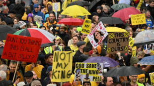 Anti-monarchists among UK protesters arrested before king's coronation