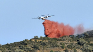 Pyrénées-Orientales: incendie maîtrisé après 930 hectares parcourus