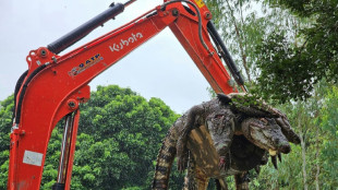 Thaïlande: 125 crocodiles abattus par crainte qu'ils ne s'échappent durant les crues