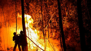 900 firefighters battle 'mega-fire' in southern France