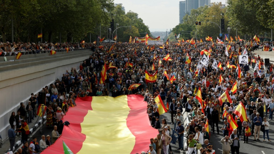 Miles de personas se unen en Madrid a una protesta convocada por la derecha contra el gobierno español