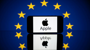 EU battles in court to overturn Apple tax bill ruling