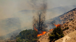 A Rodi senza pagare i turisti fuggiti da incendi l'estate scorsa