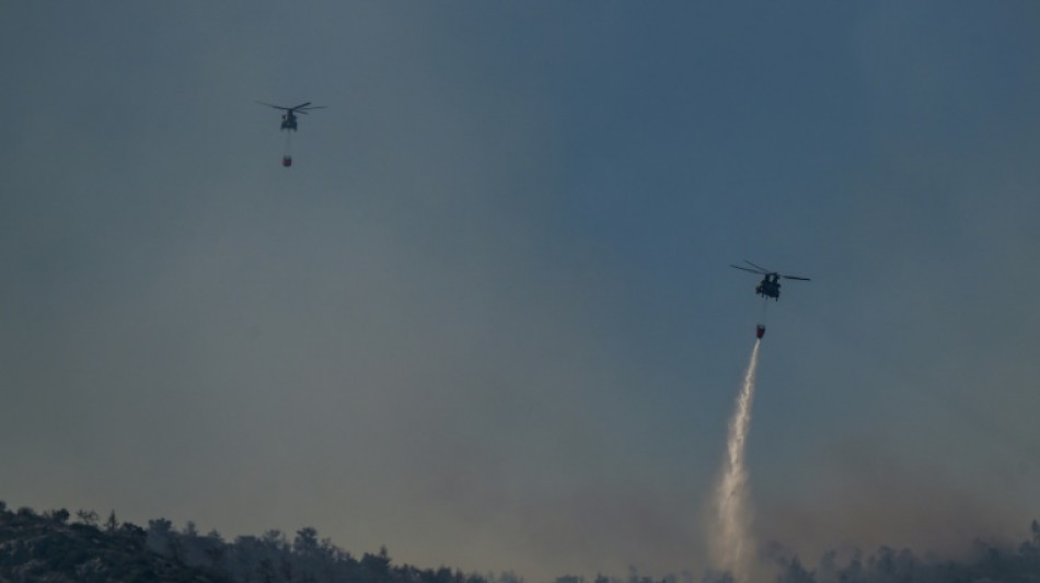 Decenas de incendios forestales en Grecia, que enfrenta un complicado verano