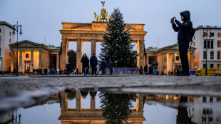 Größter Weihnachtsbaum steht in Dortmund