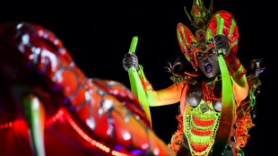 Vibrant homage to black women wins Rio carnival contest