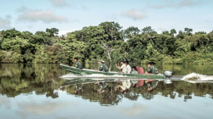 En Amazonie, la lutte des "guerriers de la forêt" pour la Vallée du Javari