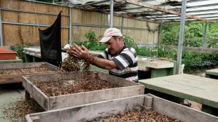 Costa Rica guarda tesouro de sementes ante crise climática