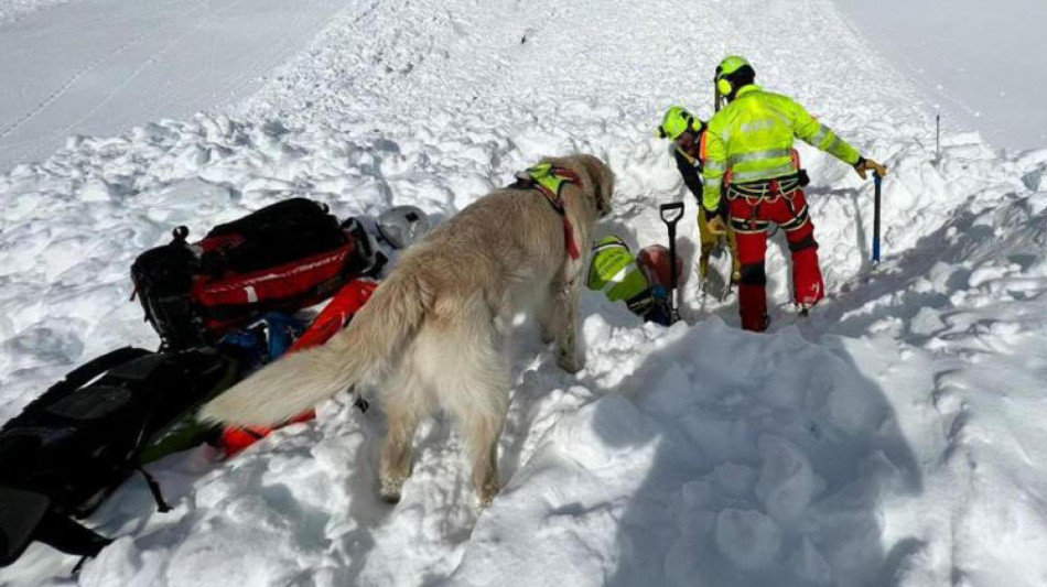 Valanga sul Castore, nel massiccio del Rosa, alpinisti coinvolti