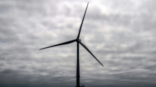 UK govt launches flagship green energy plan
