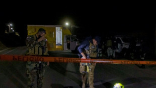 At least 20 people shot dead at Mexican cockfighting ring