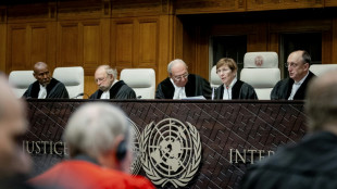 Palestinians accuse Israel of 'apartheid' at UN top court